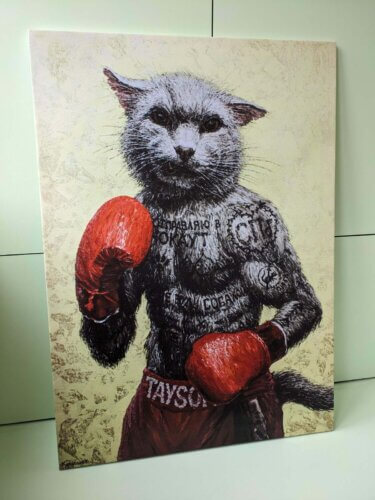 кот в боксерских перчатках