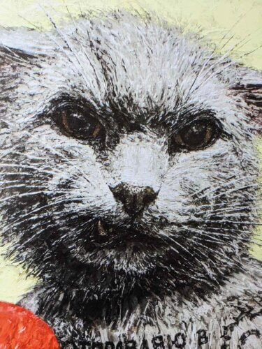 мордочка кота