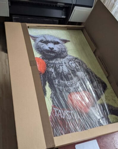 картина с котом в боксерских перчатках запакованная в коробке