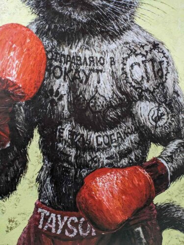 кот в боксерских перчатках