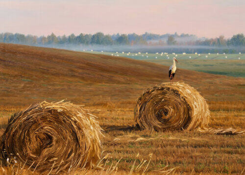 Аист на стоге сена