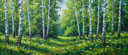 Березовая роща